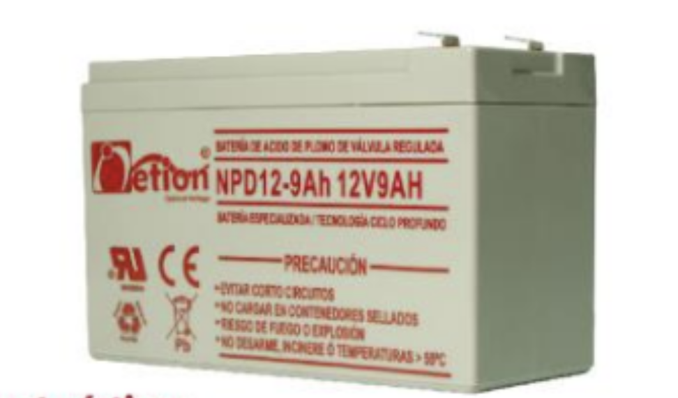 Netion